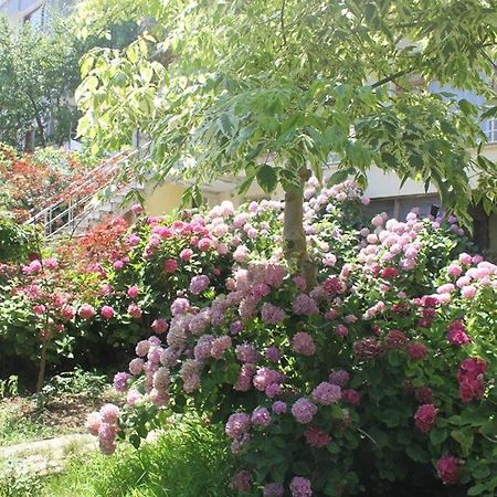 Thermal Orkide Pansiyon Yalova  Zewnętrze zdjęcie