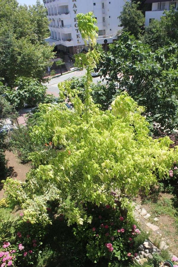 Thermal Orkide Pansiyon Yalova  Zewnętrze zdjęcie